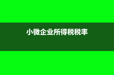 小微企业所得税减免的账务处理(小微企业所得税税率)