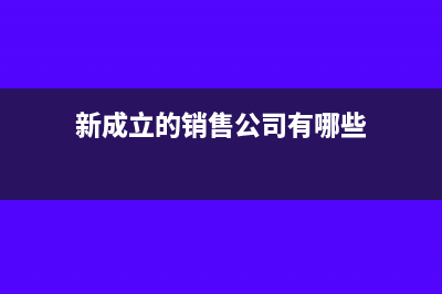 新成立的销售公司账务处理怎么做(新成立的销售公司有哪些)
