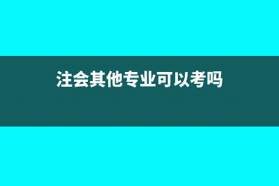 注会考试中其他债权投资后续计量是怎么回事(注会其他专业可以考吗)