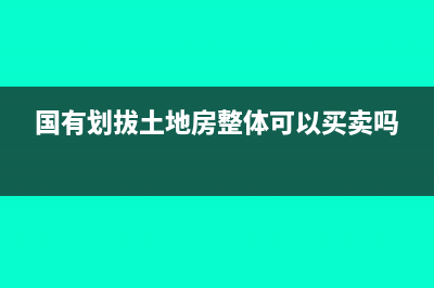 国有划拔土地重新评估怎么做账务处理(国有划拔土地房整体可以买卖吗)