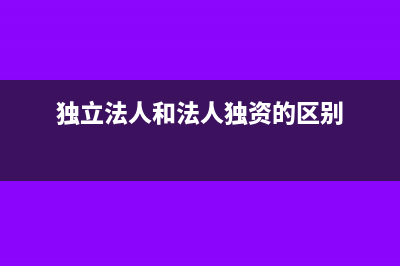 独立法人的全资子公司是独立对外投资吗?(独立法人和法人独资的区别)