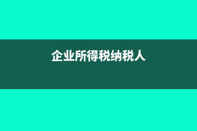 企业所得税纳税申报怎么做?(企业所得税纳税人)