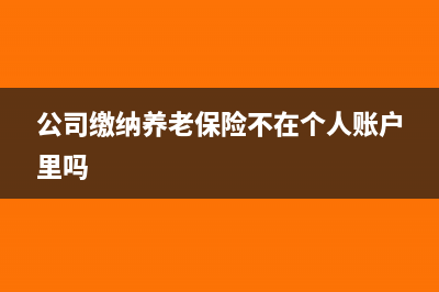 公司缴纳养老保险部分怎么做账?(公司缴纳养老保险不在个人账户里吗)
