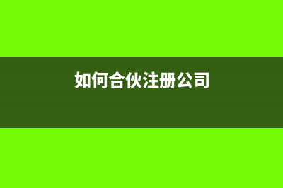 怎么建好合伙公司的账(如何合伙注册公司)