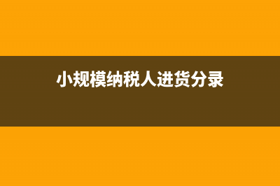 小规模纳税人进口货物怎么计算缴纳增值税额(小规模纳税人进货分录)