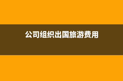 公司组织出国旅游账务要如何处理(公司组织出国旅游费用)