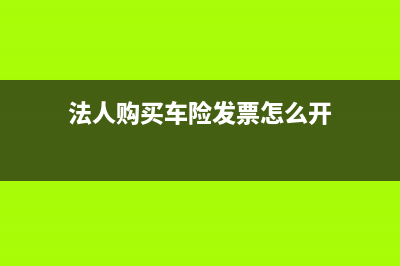 法人购买车险发票可以入账(法人购买车险发票怎么开)