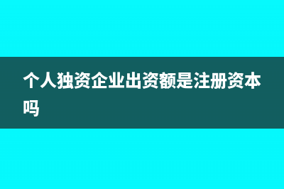个人独资企业出售需交些什么税呢(个人独资企业出资额是注册资本吗)
