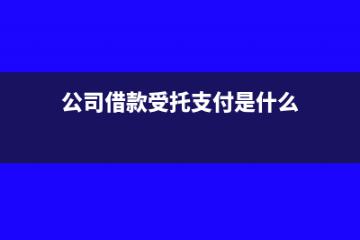 公司借款受托支付的账务处理怎么做?(公司借款受托支付是什么)