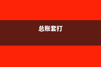 总账与账套是什么关系(总账套打)