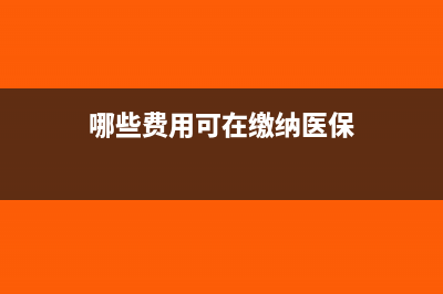 哪些费用可在缴纳企业所得税前扣除(哪些费用可在缴纳医保)