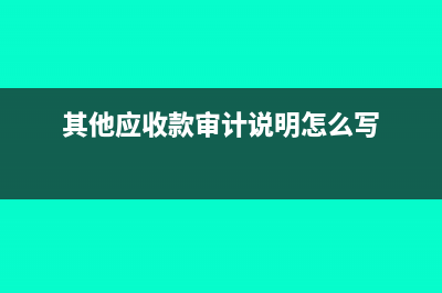 审查其他应收款包括哪些方法(其他应收款审计说明怎么写)