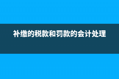 补缴的税款和罚款的会计处理