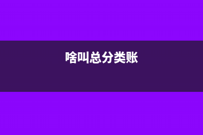 什么叫总分类账?(啥叫总分类账)