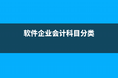 软件企业会计科目如何设置(软件企业会计科目分类)