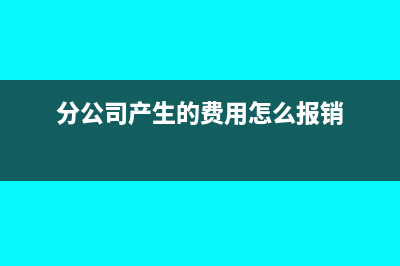 分公司发生修理费能否在总公司列支(分公司产生的费用怎么报销)