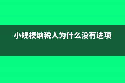 小规模纳税人为何要使用增值税税控系统?(小规模纳税人为什么没有进项)
