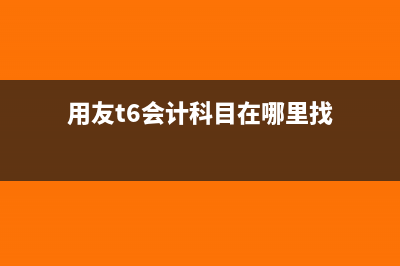 用友T6的会计凭证分录插入在哪?(用友t6会计科目在哪里找)
