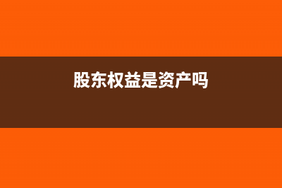 股东权益包括资本公积吗?(股东权益是资产吗)