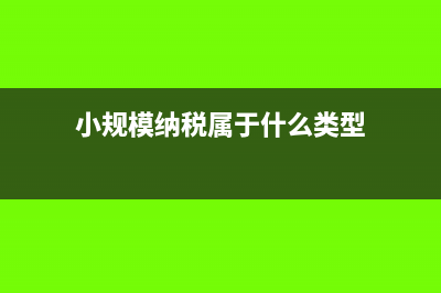 小规模纳税属于什么税种(小规模纳税属于什么类型)