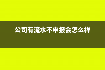 公司有流水不申报会怎么样