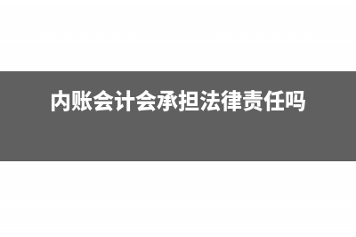 内账会计会承担风险吗(内账会计会承担法律责任吗)