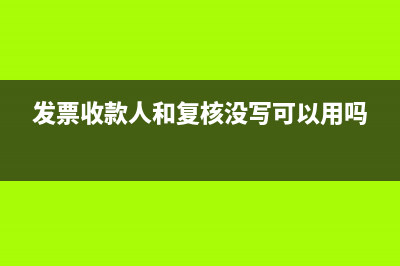 发票收款人和复核人可以是一个人吗(发票收款人和复核没写可以用吗)