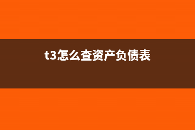 t3如何查资产明细(t3怎么查资产负债表)