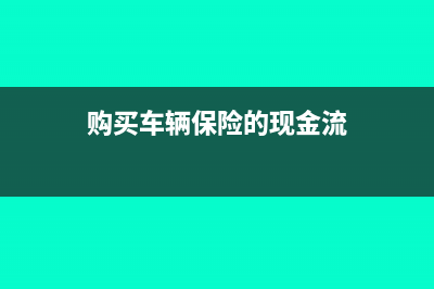 购买车辆保险的车船税分录怎么做(购买车辆保险的现金流)