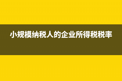 小规模纳税人的销售会计分录(小规模纳税人的企业所得税税率)