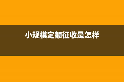 小规模定额征收纳税申报表(小规模定额征收是怎样)