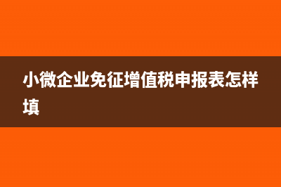 小微企业免征增值税会计分录(小微企业免征增值税申报表怎样填)