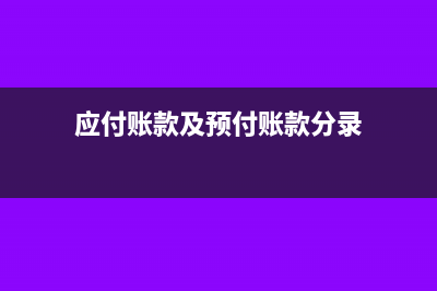 应付账款及预付账款的账龄明细表怎么设置(应付账款及预付账款分录)