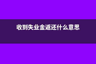收到失业金返还入什么科目(收到失业金返还什么意思)