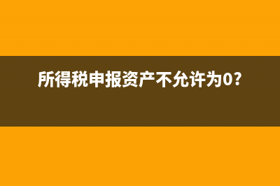 所得税申报的资产可以填写负数吗(所得税申报资产不允许为0?)