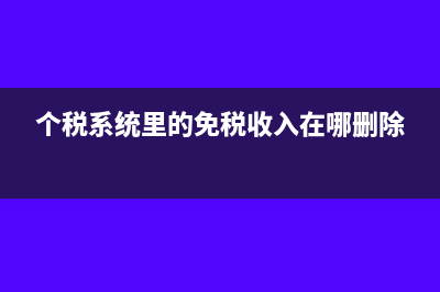 个税系统里的免税收入是什么意思(个税系统里的免税收入在哪删除)