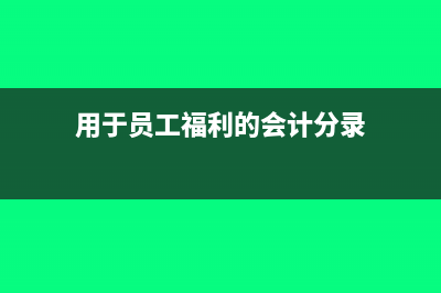 用于员工福利的进项税额可以抵扣吗(用于员工福利的会计分录)