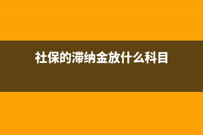 社保的滞纳金放在哪个科目?(社保的滞纳金放什么科目)