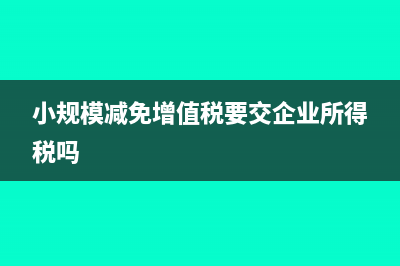 小规模减免增值税会计分录(小规模减免增值税要交企业所得税吗)