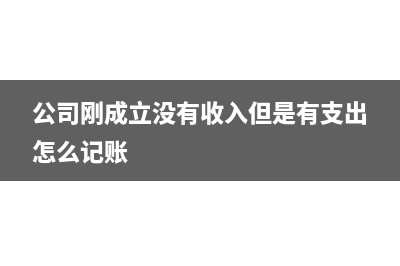 公司刚成立没有收入如何结转利润?(公司刚成立没有收入但是有支出怎么记账)