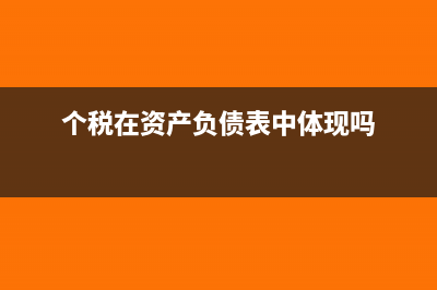 个税在资产负债表里能看到吗?(个税在资产负债表中体现吗)