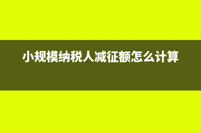小规模纳税人减税项目怎么填?(小规模纳税人减征额怎么计算)