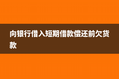 向银行借入短期借款会计分录(向银行借入短期借款偿还前欠货款)