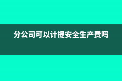 分公司可以计提盈余公积吗?(分公司可以计提安全生产费吗)