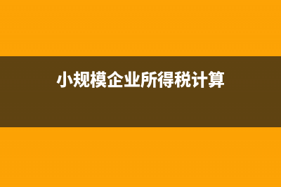 小规模企业所得税如何申报?(小规模企业所得税计算)