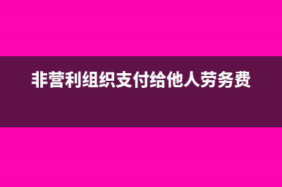 非营利组织支付拨款做什么科目?(非营利组织支付给他人劳务费)