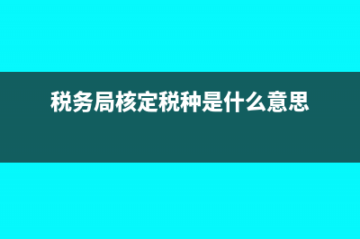 在税务局核定税种服务业税都是什么税?(税务局核定税种是什么意思)