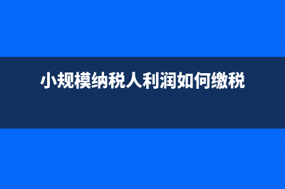 小规模纳税人利润表营业收入含税吗?(小规模纳税人利润如何缴税)