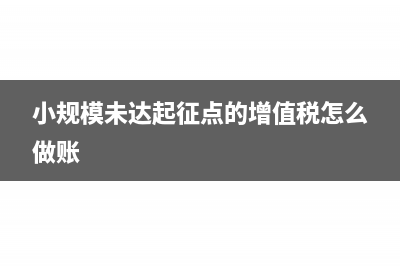 小规模未达起征点资产负债表怎么填?(小规模未达起征点的增值税怎么做账)