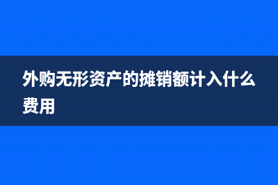 外购无形资产的进项税计入成本吗?(外购无形资产的摊销额计入什么费用)